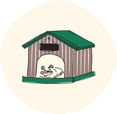 出張トリミングにも対応
